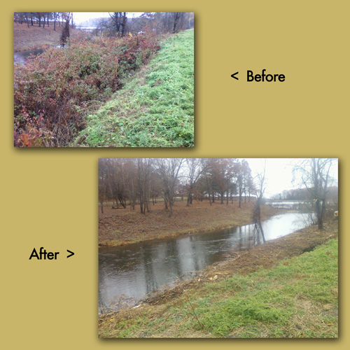 Resevoir spillway clearing 2010